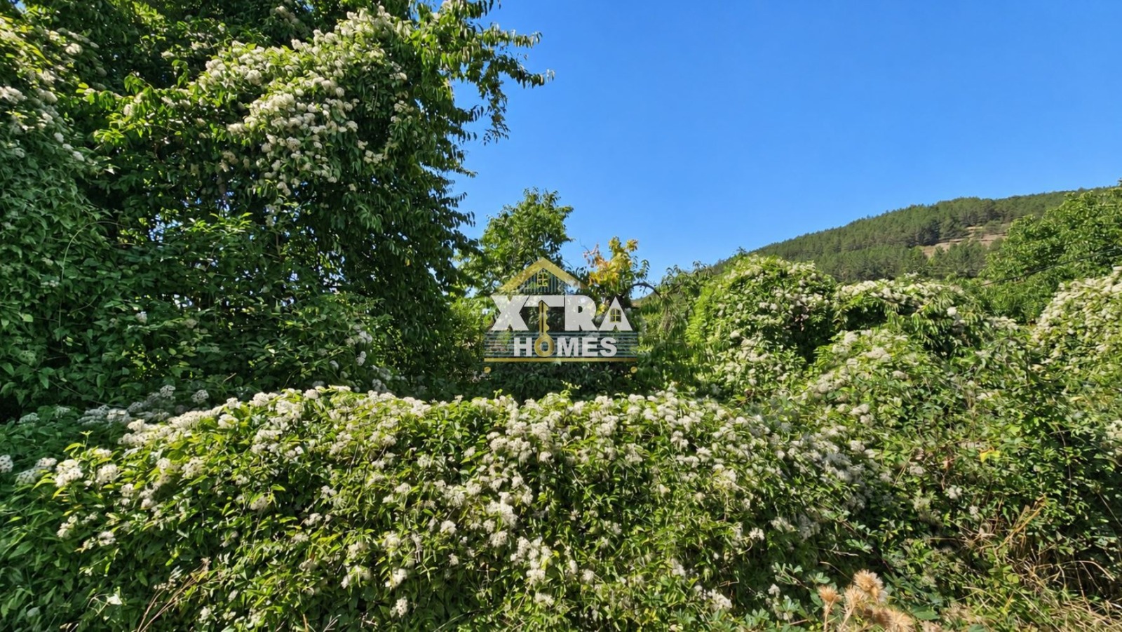 Продава КЪЩА, гр. София, Сеславци, снимка 3 - Къщи - 56018789