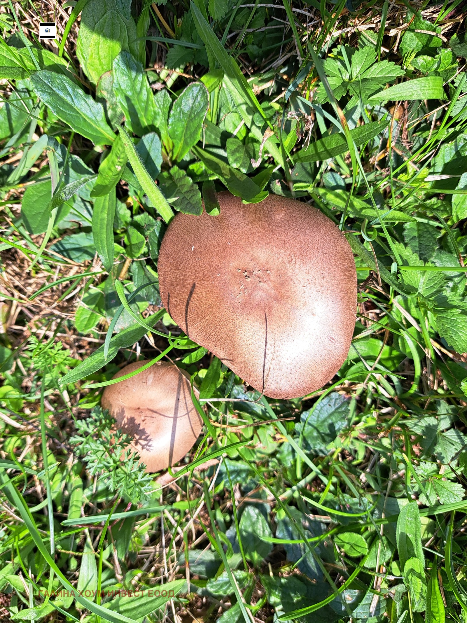 ������� ���� | Imot.bg � ����������� 13