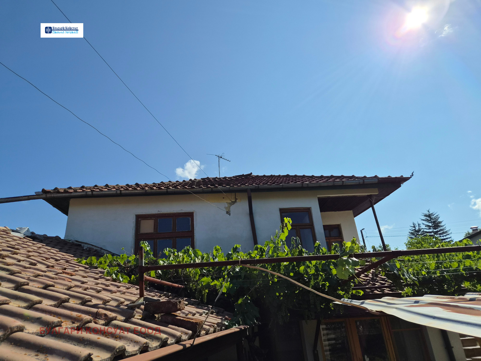 ������� ���� | Imot.bg � ����������� 1