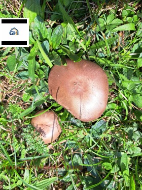 ������� ���� | Imot.bg � ����� ������ 13