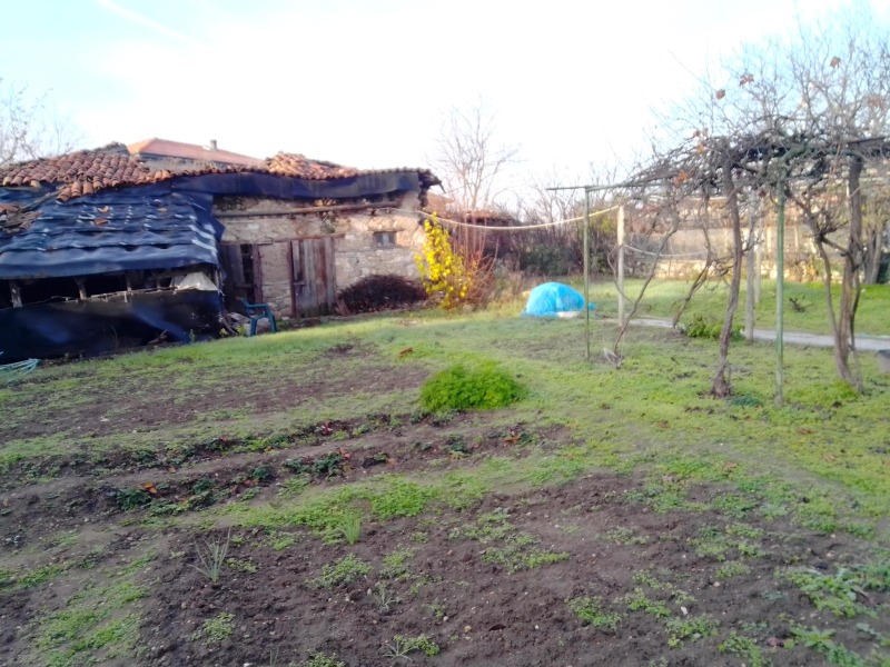 Продава КЪЩА, с. Добрич, област Хасково, снимка 6 - Къщи - 52662631