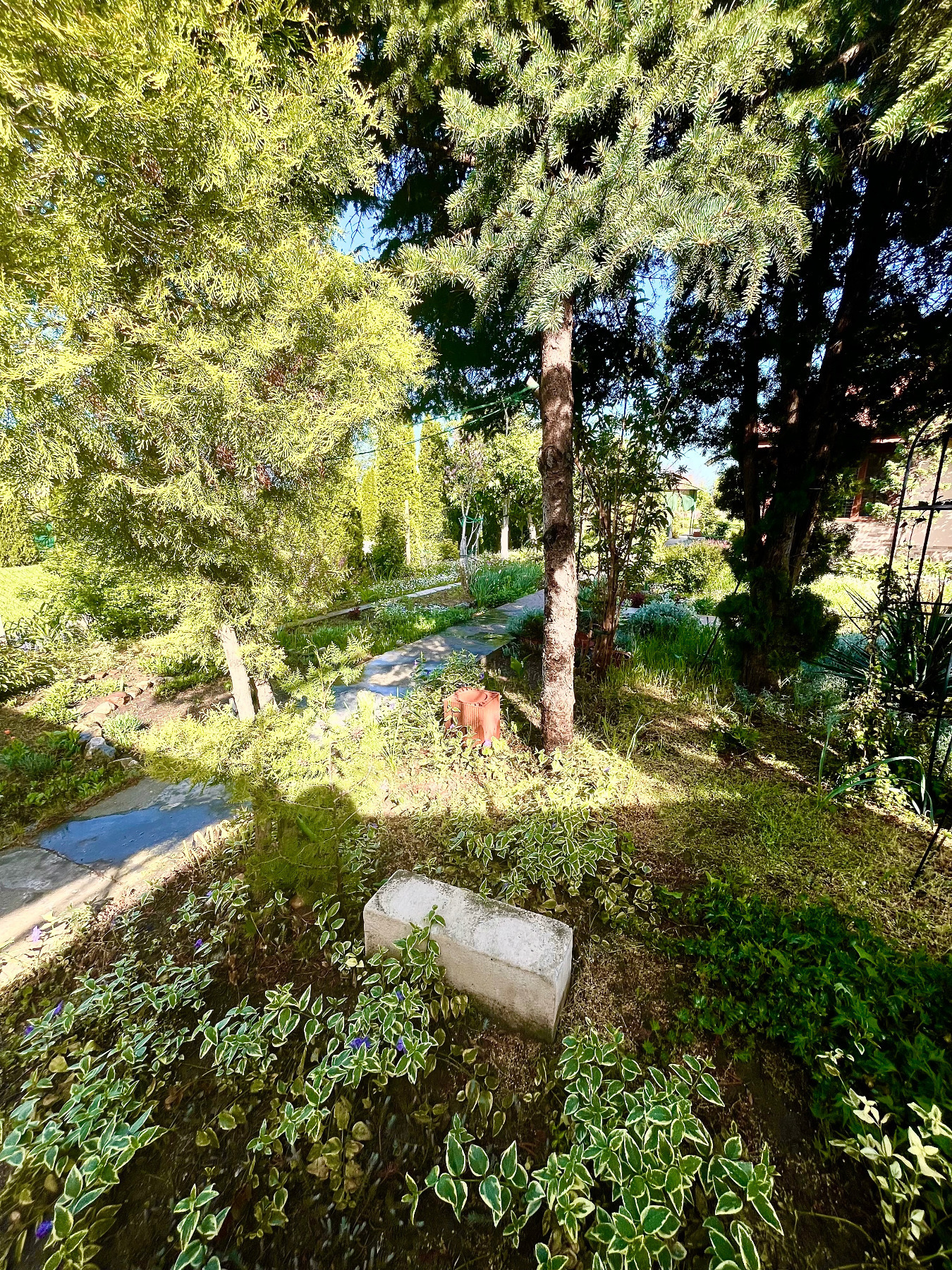 Продава КЪЩА, гр. Козлодуй, област Враца, снимка 11 - Къщи - 54347658