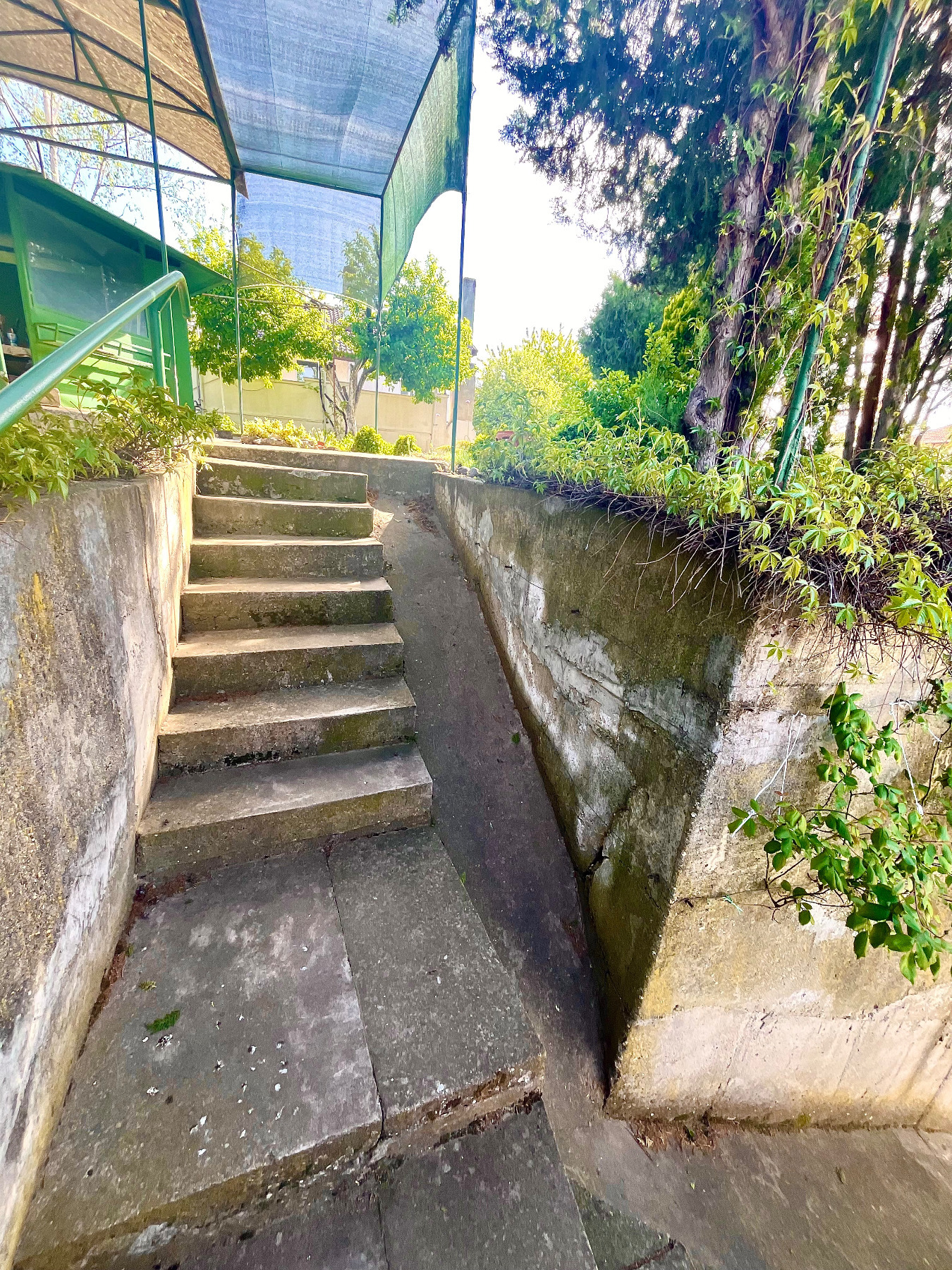 Продава КЪЩА, гр. Козлодуй, област Враца, снимка 6 - Къщи - 54347658