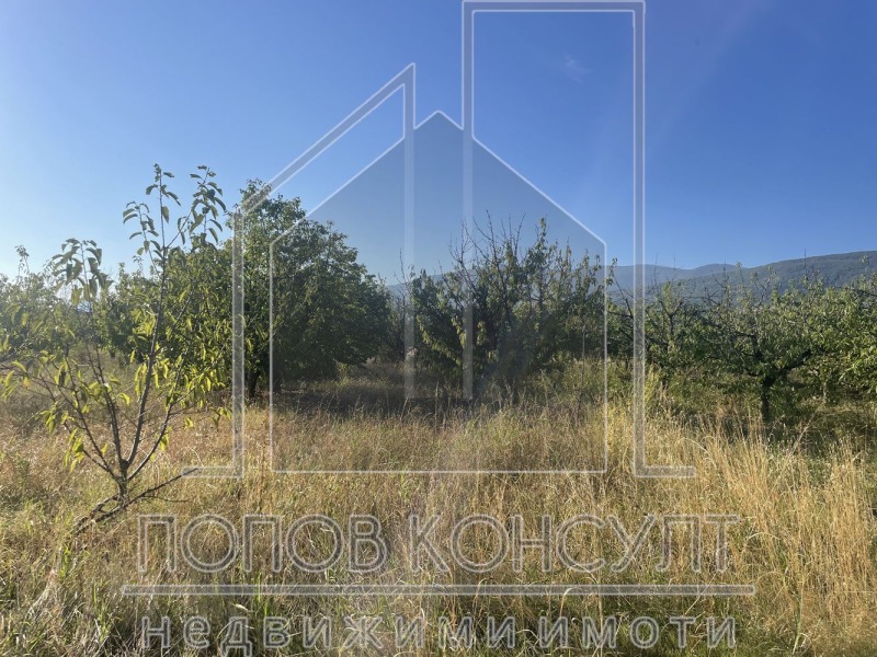 For Sale  Plot region Plovdiv , Brestnik , 1800 sq.m | 91149444 - image [4]