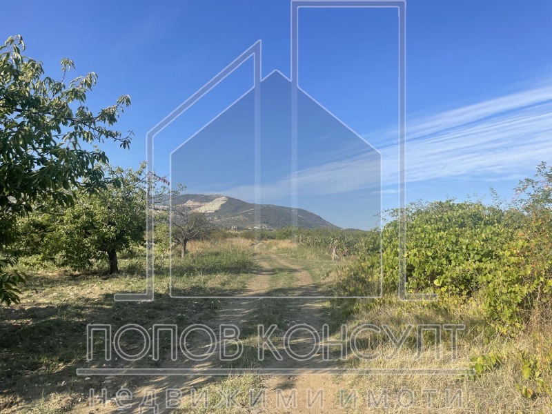 For Sale  Plot region Plovdiv , Brestnik , 1800 sq.m | 91149444 - image [5]