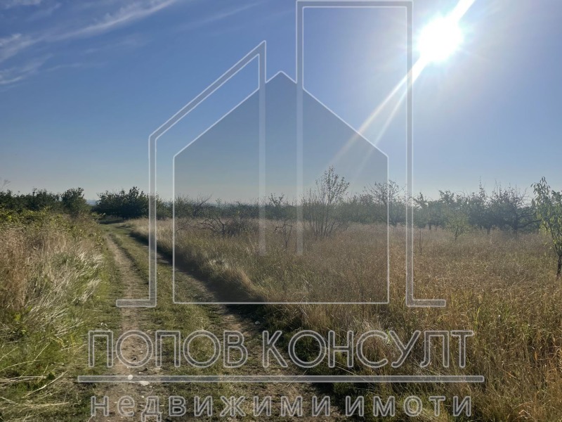 For Sale  Plot region Plovdiv , Brestnik , 1800 sq.m | 91149444 - image [3]