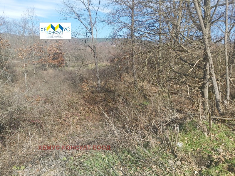 Продава ЗЕМЕДЕЛСКА ЗЕМЯ, с. Гумощник, област Ловеч, снимка 3 - Земеделска земя - 53507296