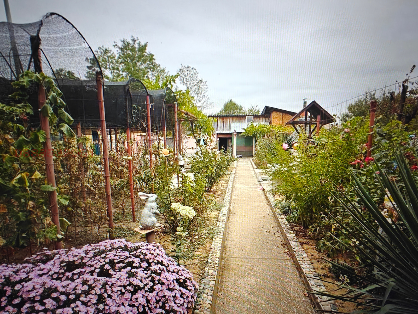 Продава КЪЩА, с. Старо село, област Враца, снимка 12 - Къщи - 54157601