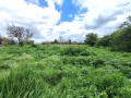 Продава ПАРЦЕЛ, с. Ветрино, област Варна, снимка 1