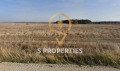 Продава ПАРЦЕЛ, с. Кичево, област Варна, снимка 2