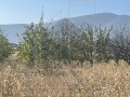 Продава ПАРЦЕЛ, област Пловдив, с. Брестник • 99000 € / 193627.17 лв. • 70298138 2