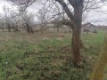 Продава ПАРЦЕЛ, област Велико Търново, с. Горски Сеновец • 7000 € • 16210942 — Holmes.bg