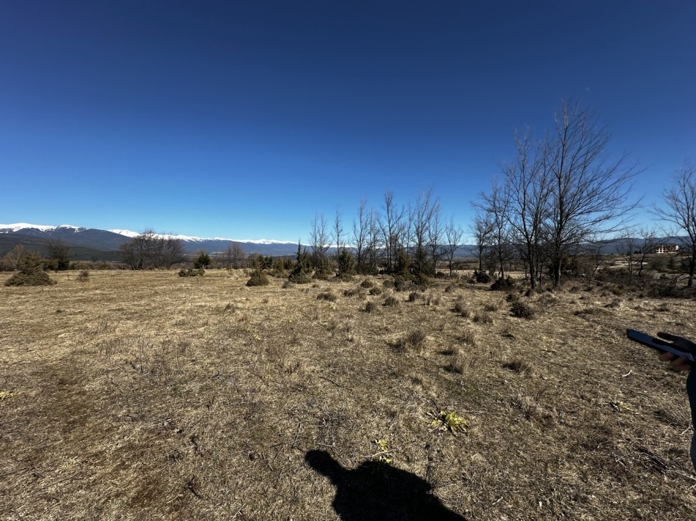 ������� ������ | Imot.bg � ����������� 2