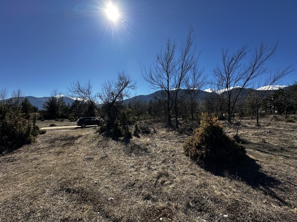 ������� ������ | Imot.bg � ����������� 7