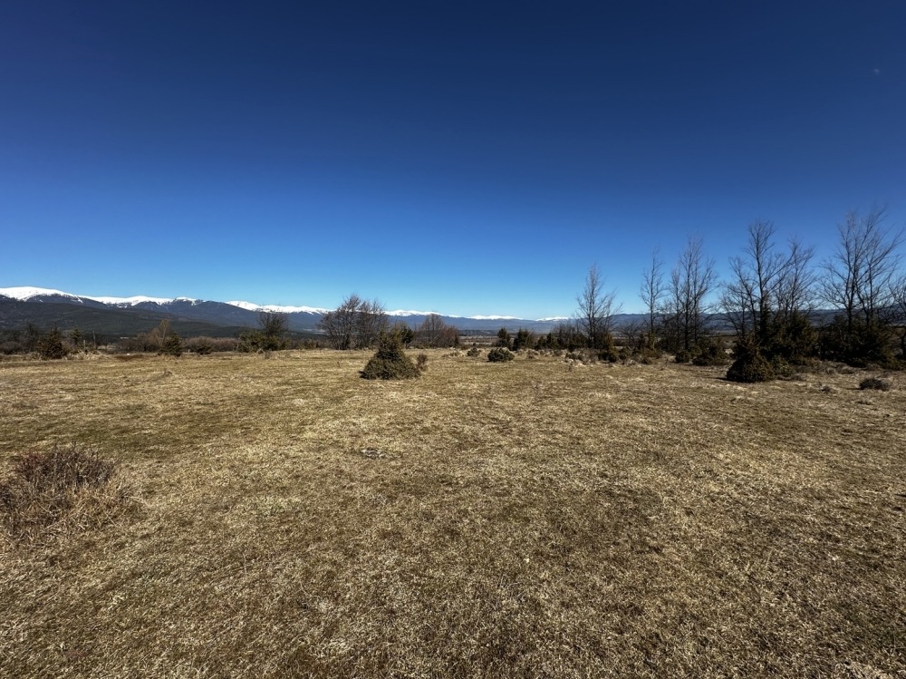 ������� ������ | Imot.bg � ����������� 8