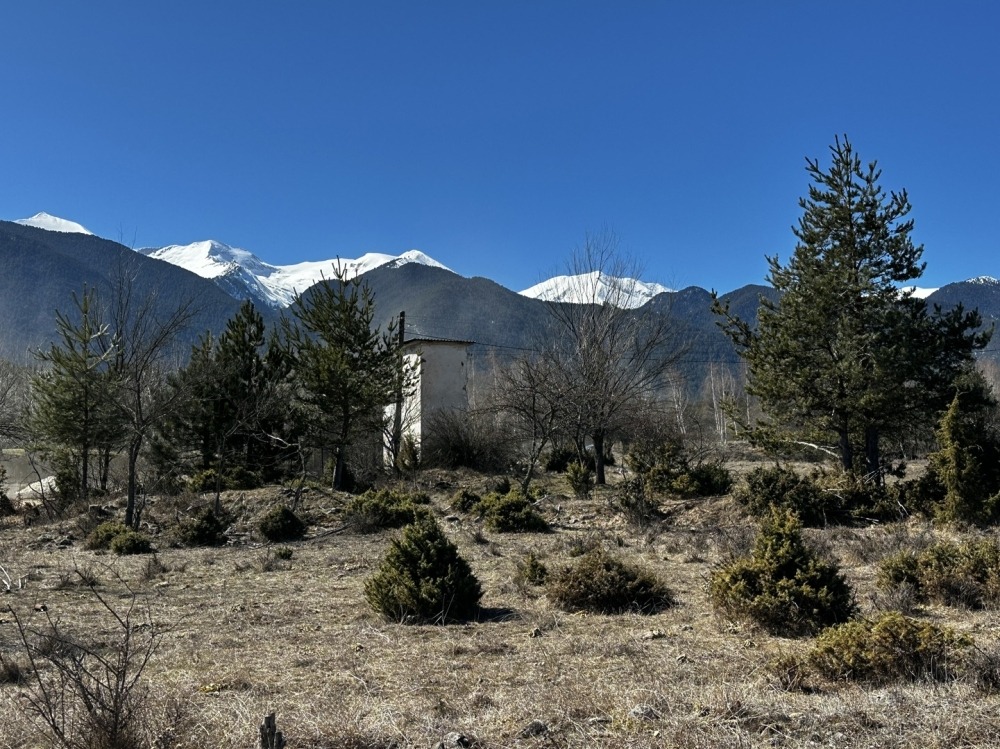 ������� ������ | Imot.bg � ����������� 11