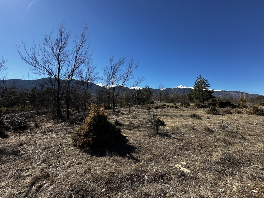 ������� ������ | Imot.bg � ����������� 6