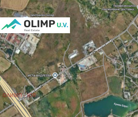 ����� ������� ������,���� �����, ����������