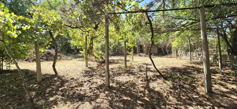 Na prodej  Dům oblast Shumen , Panajot Volovo , 67 m2 | 25066348 - obraz [8]
