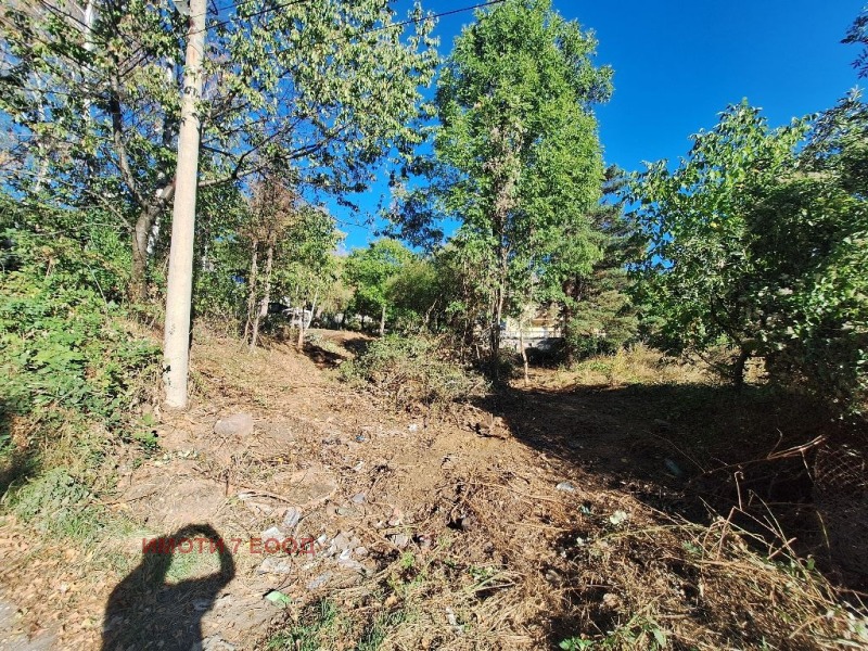 Zu verkaufen  Handlung Sofia , Wladaja , 1300 qm | 15387131 - Bild [13]