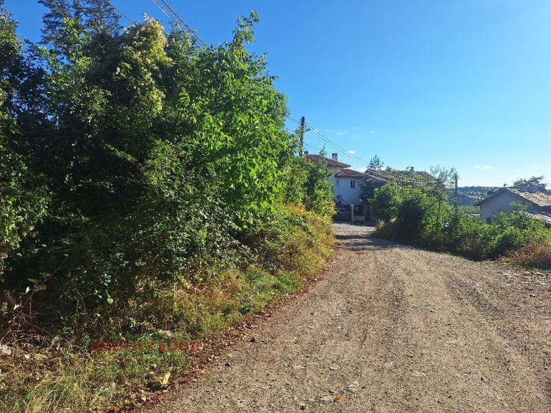 Zu verkaufen  Handlung Sofia , Wladaja , 1300 qm | 15387131 - Bild [11]
