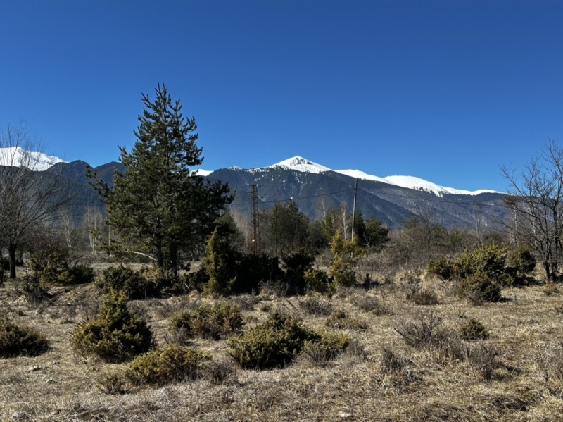 Продава ПАРЦЕЛ, гр. Разлог, област Благоевград, снимка 12 - Парцели - 52720237