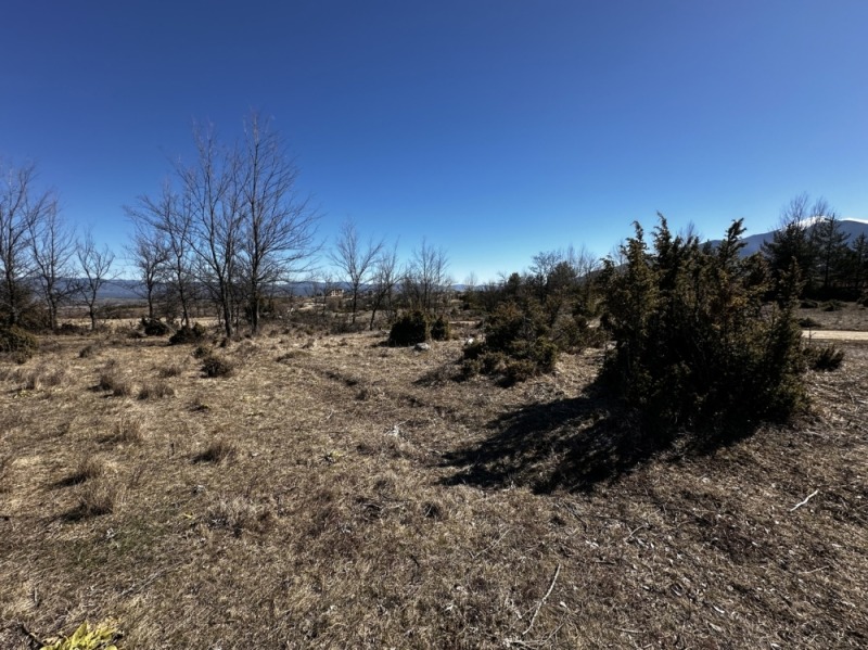 Продава ПАРЦЕЛ, гр. Разлог, област Благоевград, снимка 4 - Парцели - 52720237