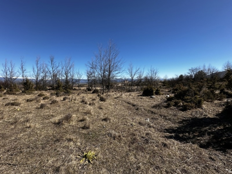 Продава ПАРЦЕЛ, гр. Разлог, област Благоевград, снимка 3 - Парцели - 52720237