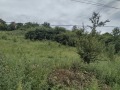Продава ПАРЦЕЛ, град Перник, Ралица • 38280 € • 26852803 — Holmes.bg