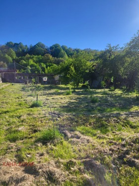 Plot Troyan, region Lovech 7