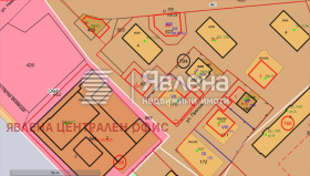 ����� ������� ������,���� �����, ��� �����