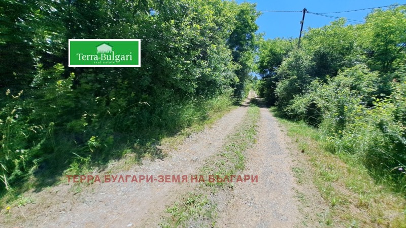 Продаја  Плот регион Перник , Драгичево , 2200 м2 | 36072084 - слика [2]
