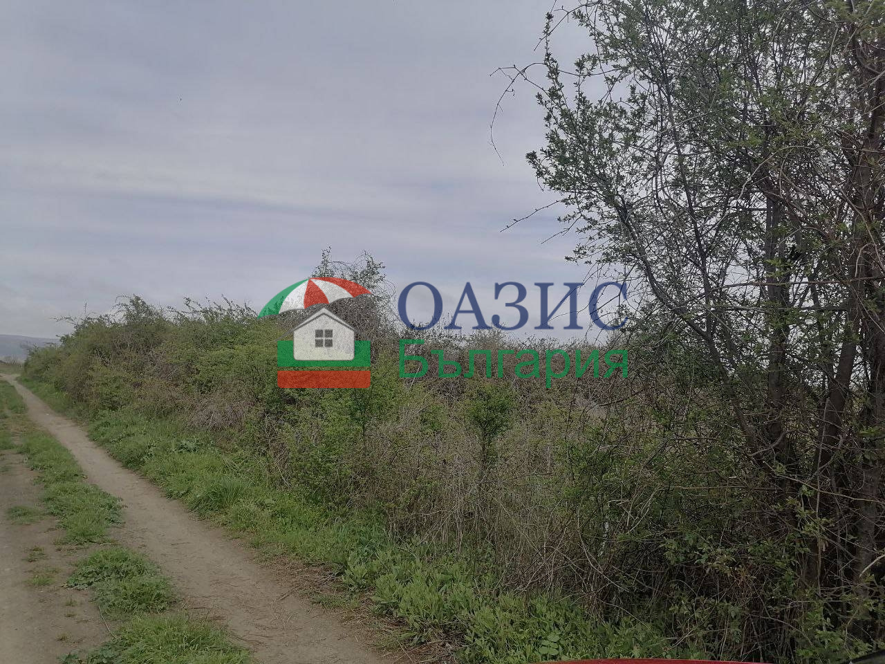 Продава ПАРЦЕЛ, с. Тънково, област Бургас, снимка 3 - Парцели - 49944405
