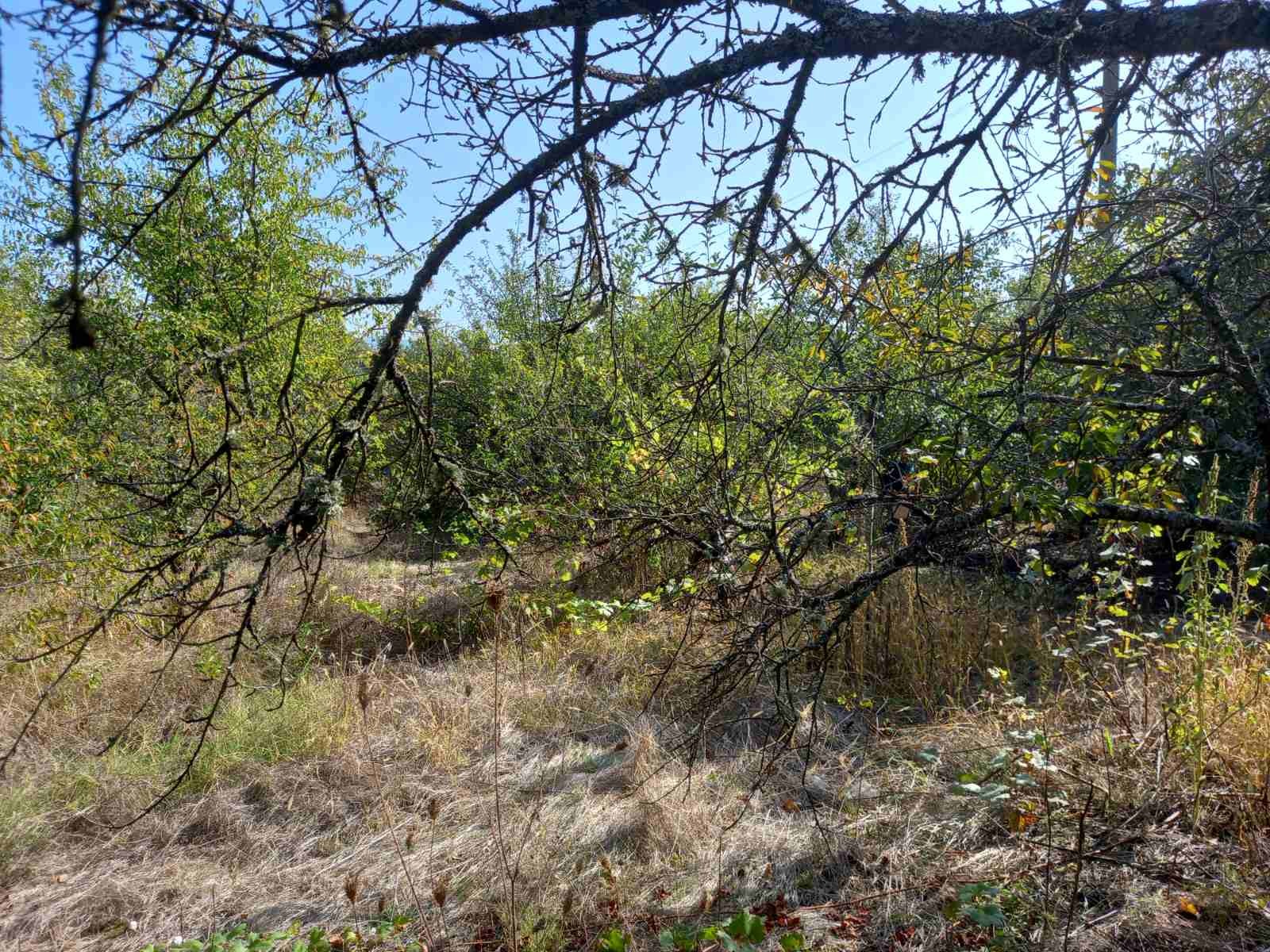 ������� ������ | Imot.bg � ����������� 3