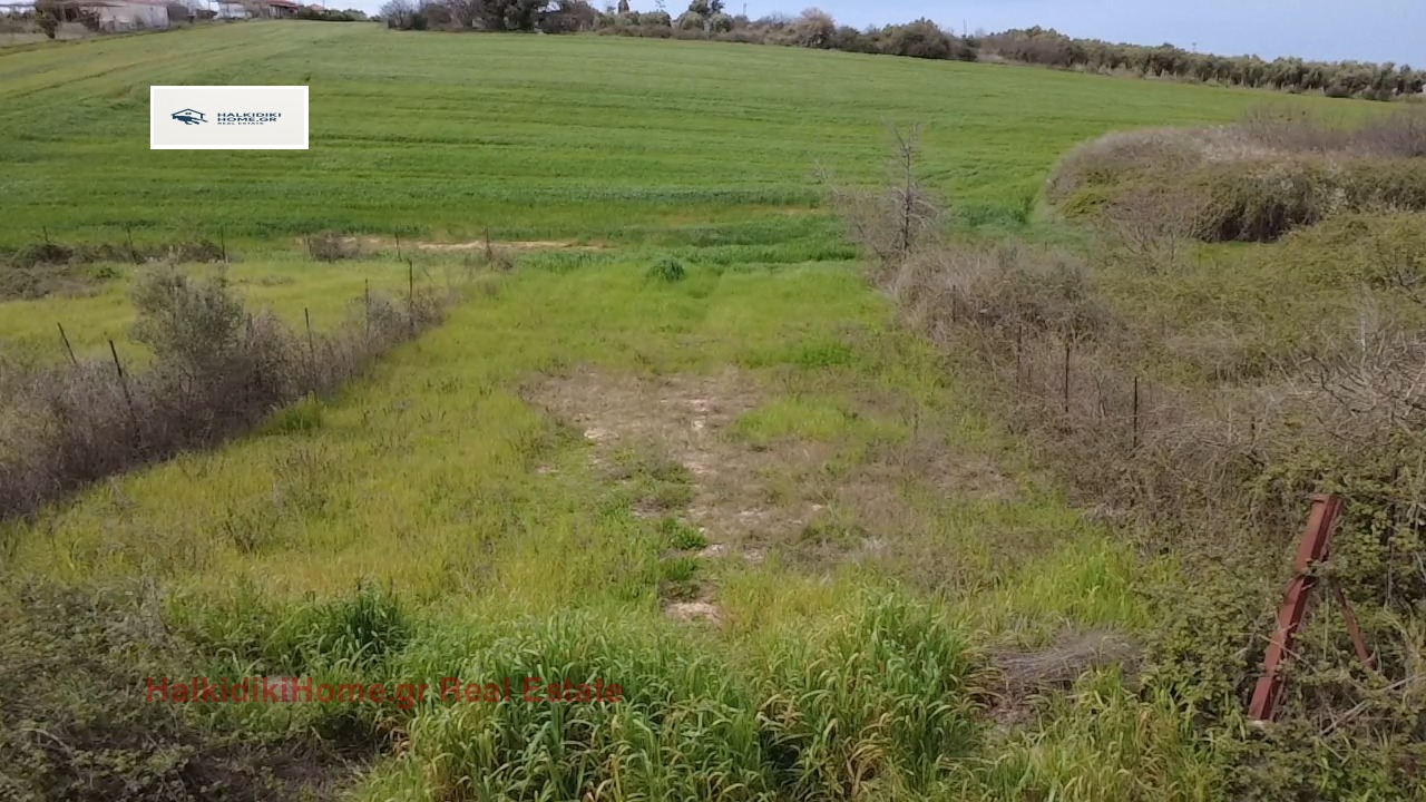 ������� ������ | Imot.bg � ����������� 4