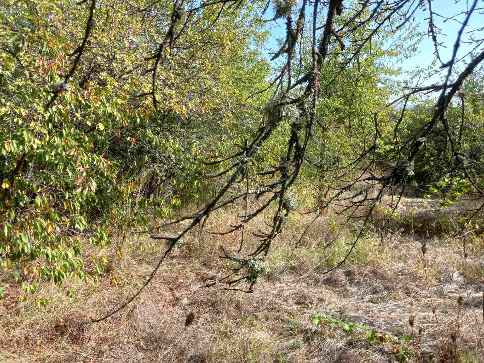 Продава ПАРЦЕЛ, гр. Костинброд, област София област, снимка 2 - Парцели - 51089537
