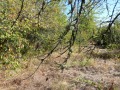 Продава ПАРЦЕЛ, гр. Костинброд, област София област, снимка 2