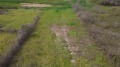 Продава ПАРЦЕЛ, Извън страната, област Извън страната, снимка 4