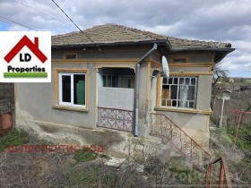 ������ ������� ����