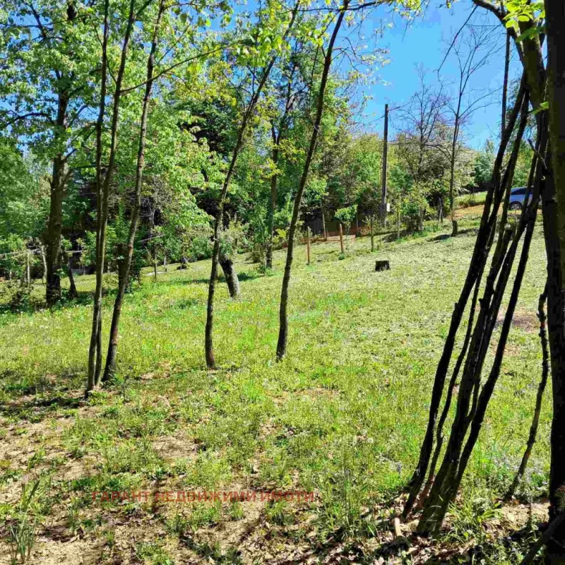 For Sale  Plot region Gabrovo , Garvan , 1188 sq.m | 74054167 - image [4]