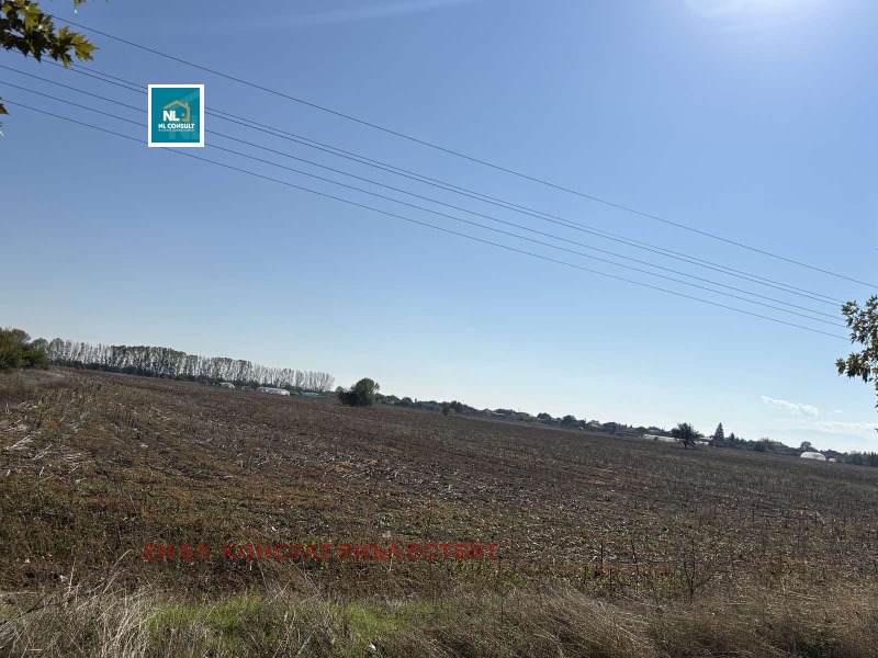 Продава ПАРЦЕЛ, с. Граф Игнатиево, област Пловдив, снимка 2 - Парцели - 52195996