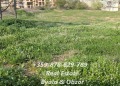 Продава ПАРЦЕЛ, област Варна, гр. Бяла • 62000 € • 78524518 — Holmes.bg