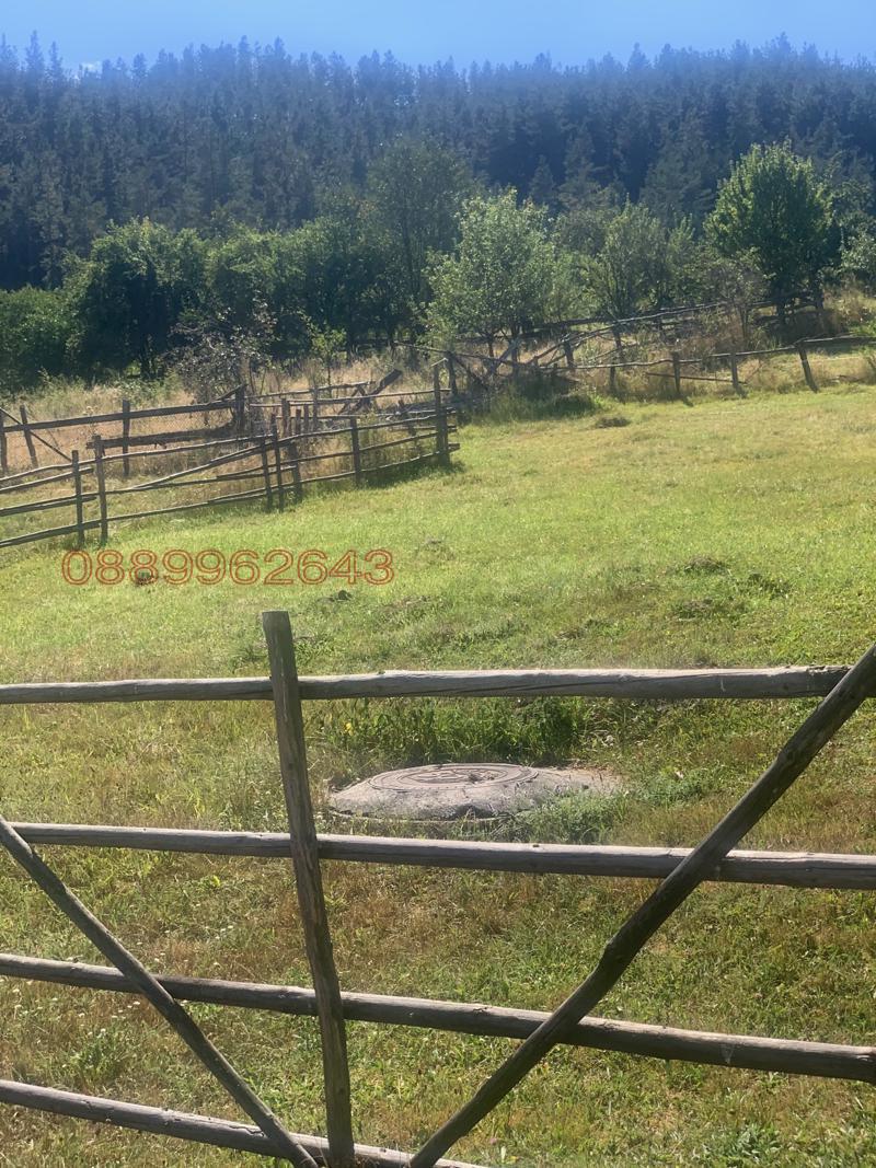 Продаја  Плот регион Софиа , Копривштица , 543 м2 | 91997776 - слика [2]