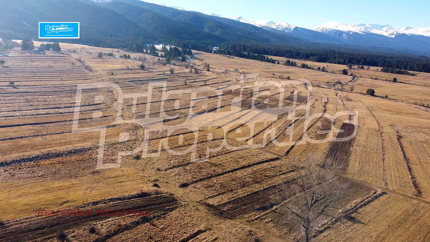 Продава ПАРЦЕЛ | Imot.bg — изображение 11