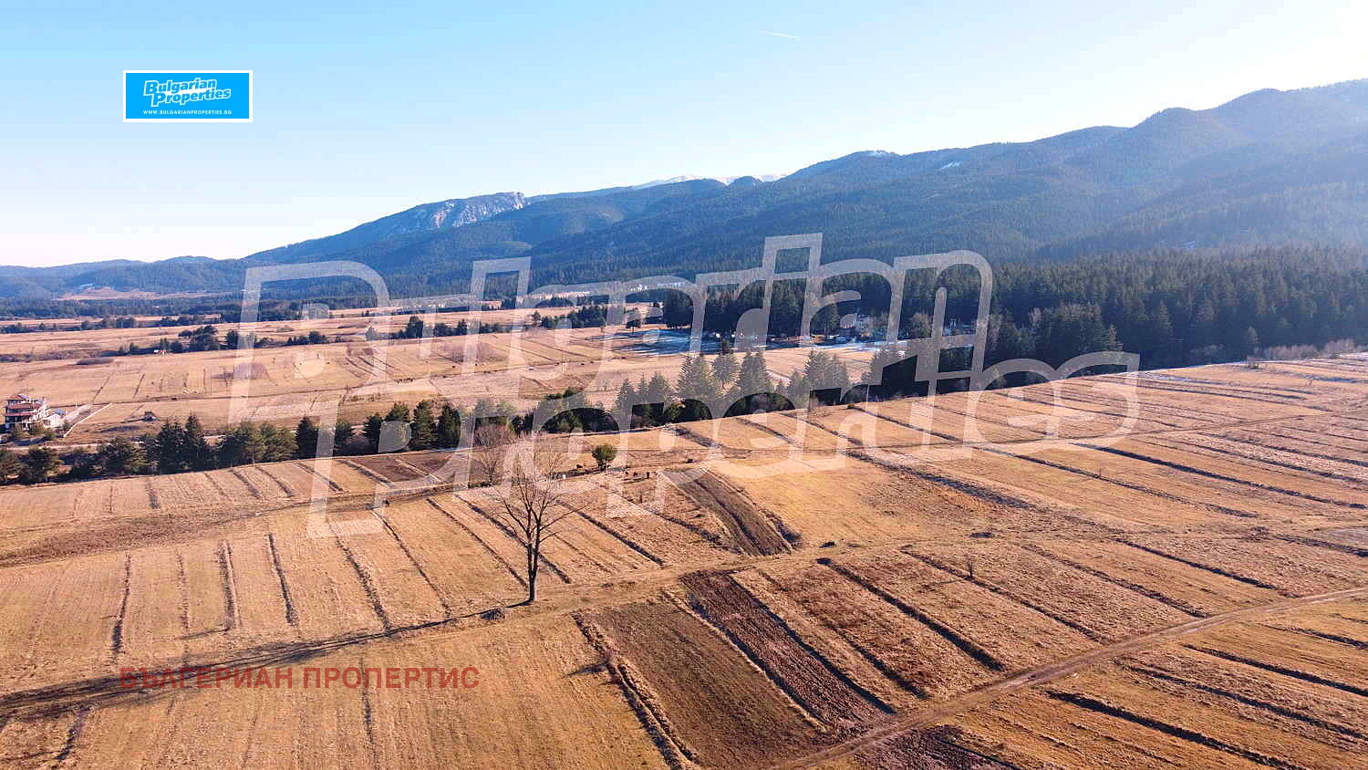 Продава ПАРЦЕЛ | Imot.bg — изображение 3