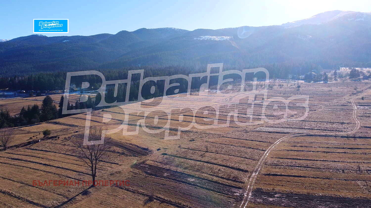 Продава ПАРЦЕЛ | Imot.bg — изображение 2