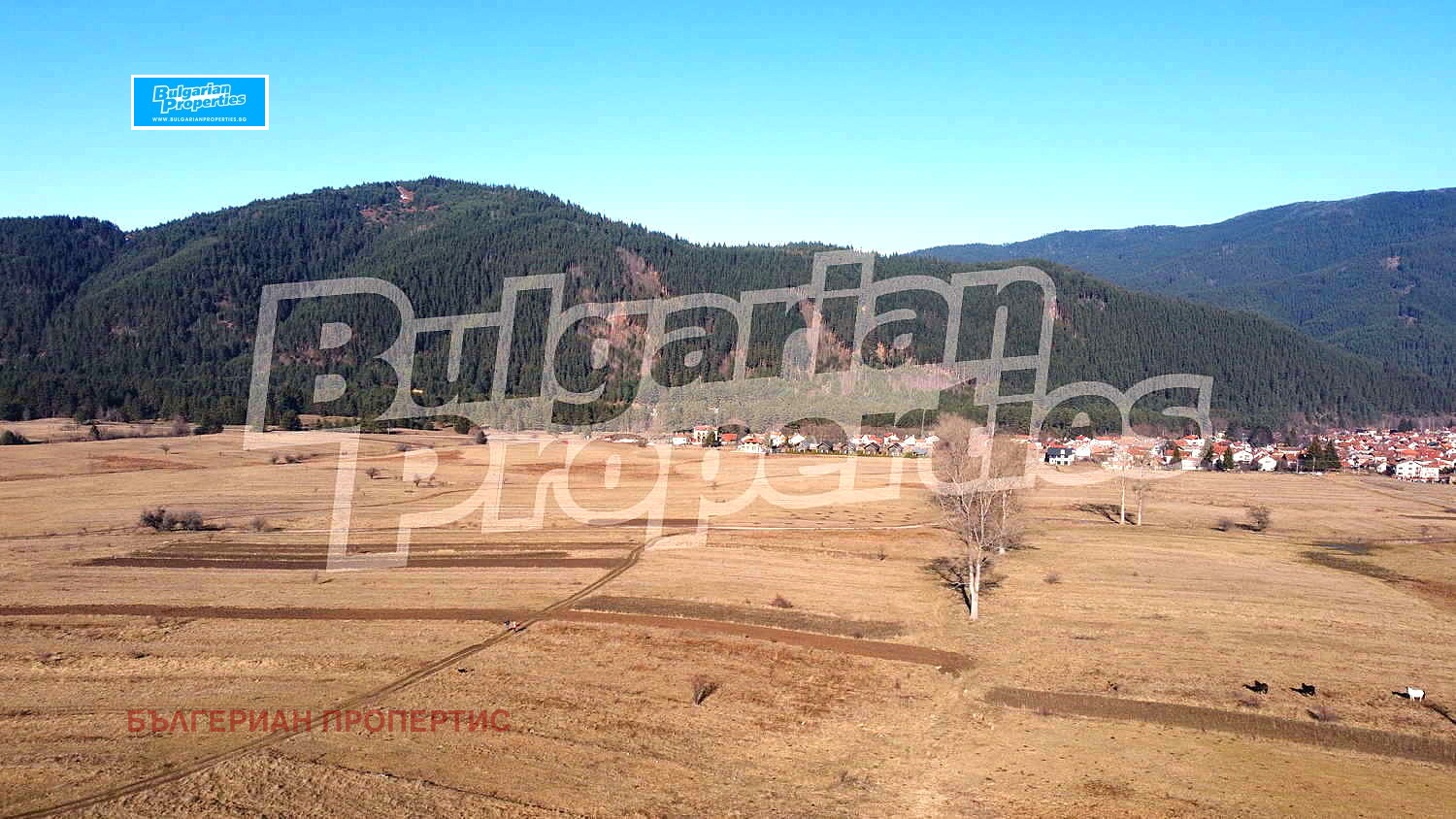 Продава ПАРЦЕЛ | Imot.bg — изображение 8