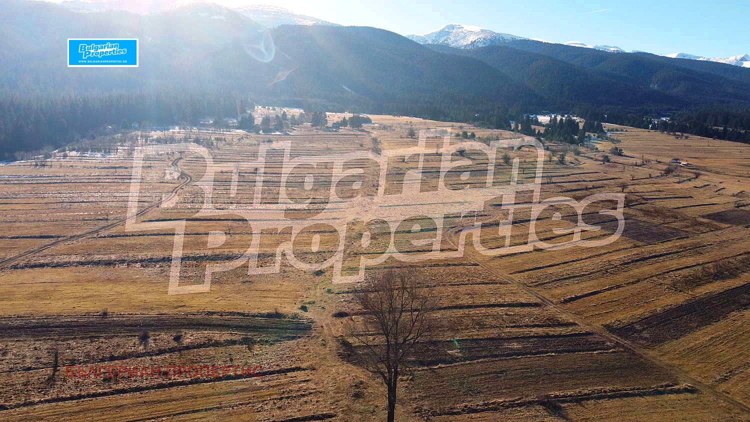 Продава ПАРЦЕЛ | Imot.bg — изображение 12