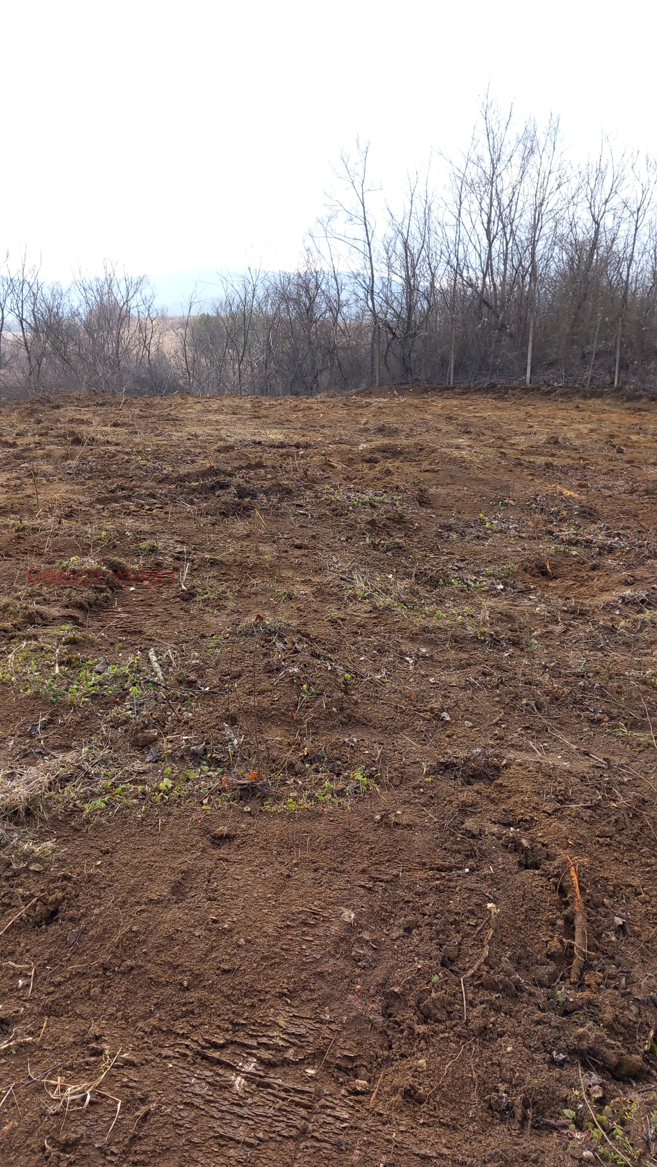 ������� ������ | Imot.bg � ����������� 1