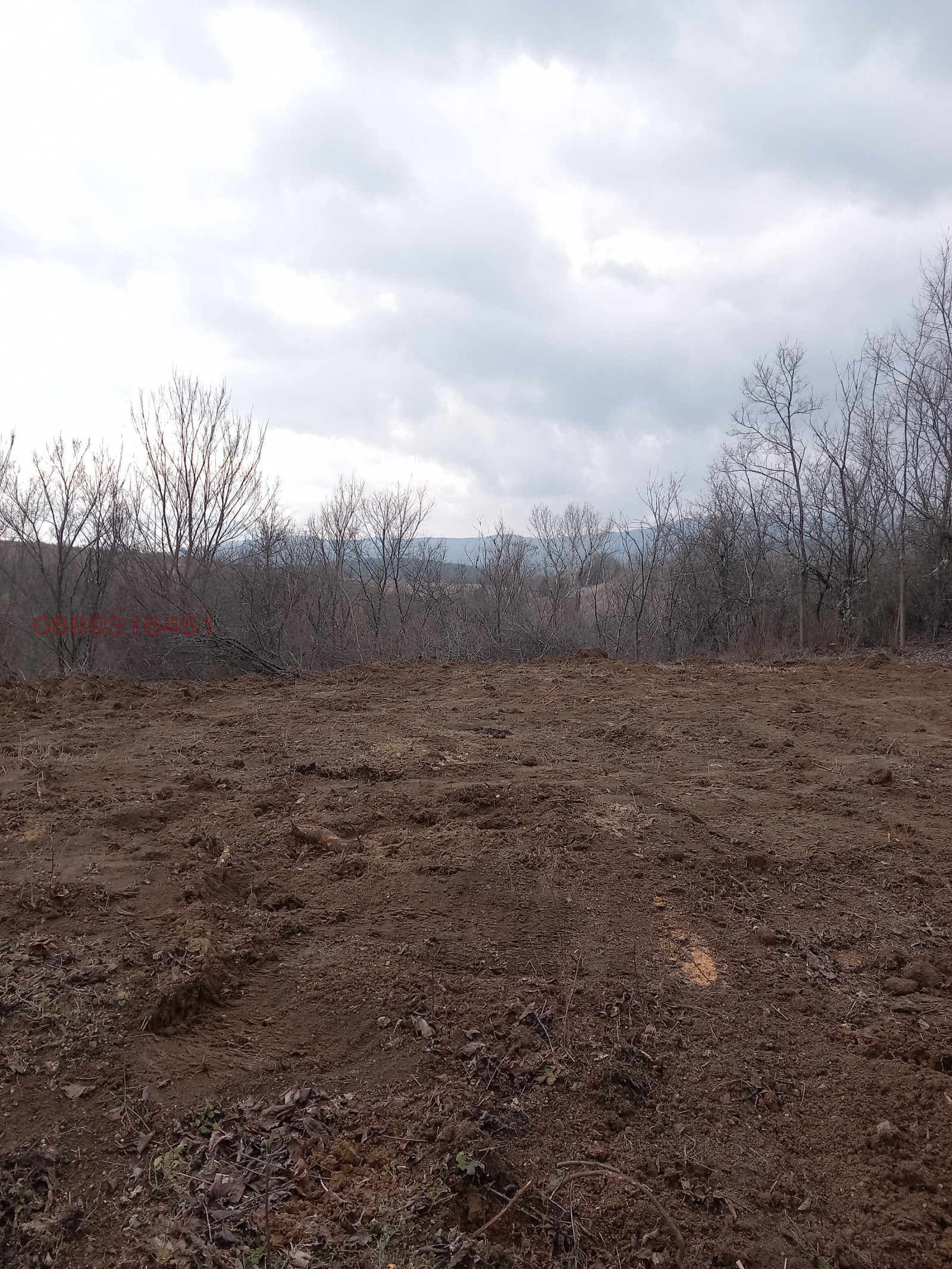 ������� ������ | Imot.bg � ����������� 8